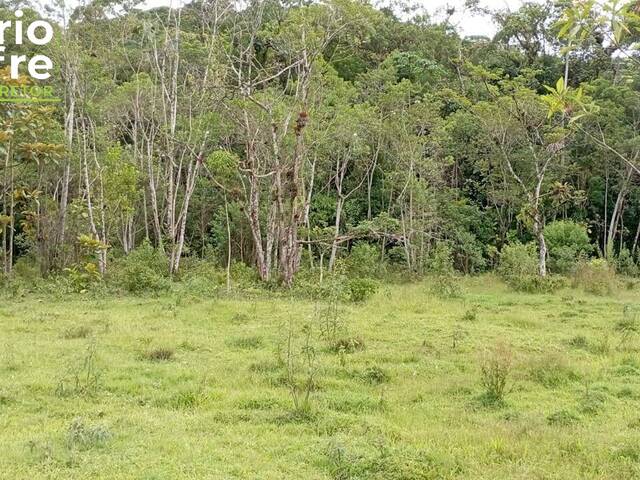 #27 - Chácara para Venda em Schroeder - SC - 3