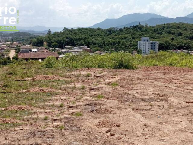 Venda em Amizade - Jaraguá do Sul