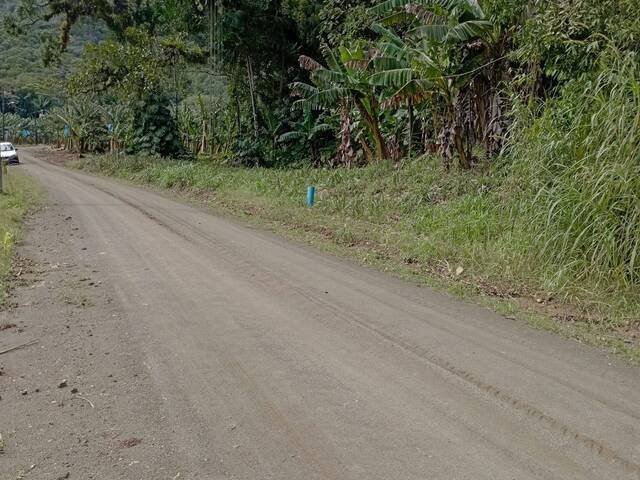 Terreno Rural para Venda em Schroeder - 2