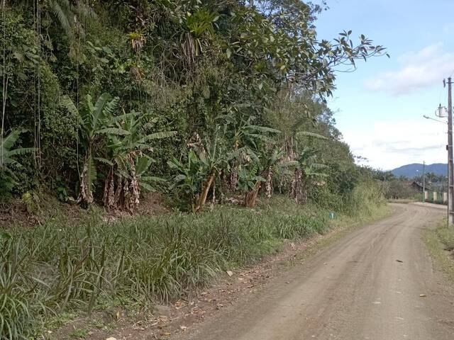Terreno Rural para Venda em Schroeder - 3