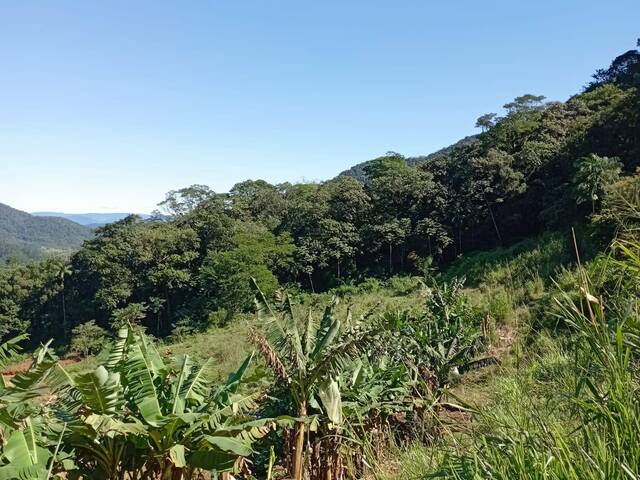 Terreno Rural para Venda em Schroeder - 5