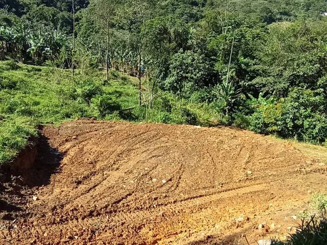 #104 - Terreno Rural para Venda em Schroeder - SC - 1