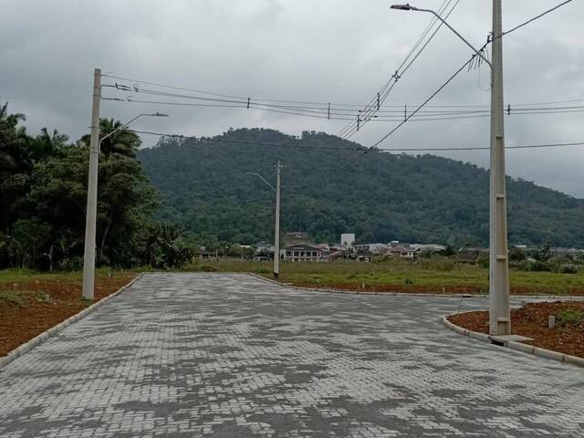 #200 - Terreno Urbano para Venda em Schroeder - SC - 3