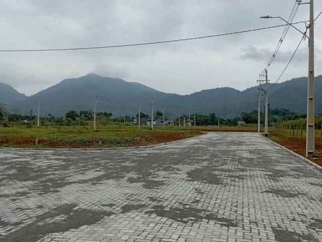 Terreno Urbano para Venda em Schroeder - 5