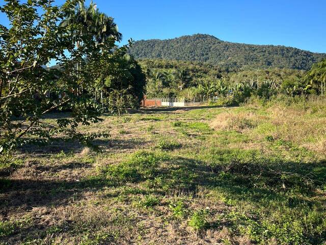 #202 - Terreno Urbano para Venda em Schroeder - SC - 3