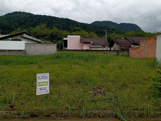 #203 - Terreno Urbano para Venda em Schroeder - SC - 2