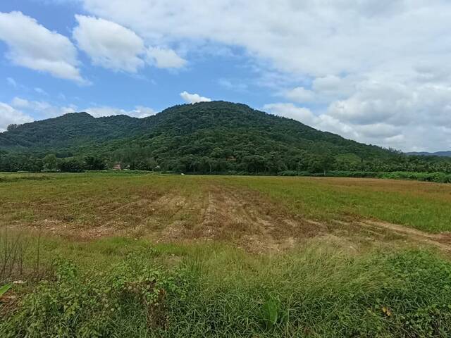 Chácara para Venda em Schroeder - 2