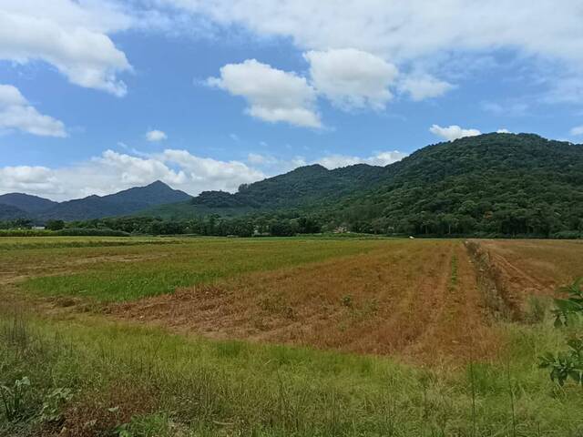 Chácara para Venda em Schroeder - 3