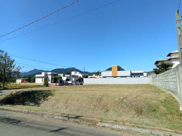 Terreno Urbano para Venda em Schroeder - 4